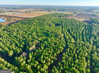 0 Yancey Rd LOT WP003, Rhine, GA 31077