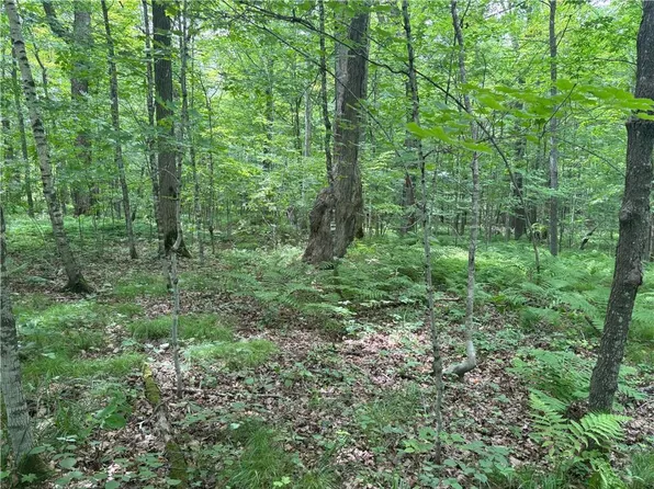 0 28 7/16-28 9/16 Street, Birchwood, WI 54817