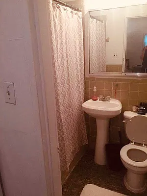 Rented by Voro NYC | media 29