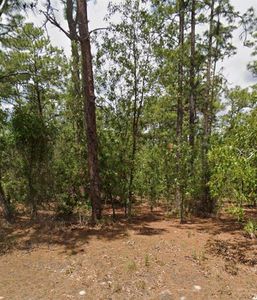 5375 W Comstock Pl Lot 10, Beverly Hills, FL, 34465