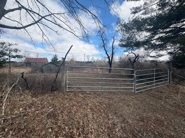 4 Mile Rd, Evart, MI 49631