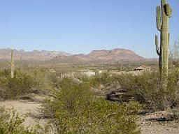 2nd image of 25549 E Diversion Dam Road #0