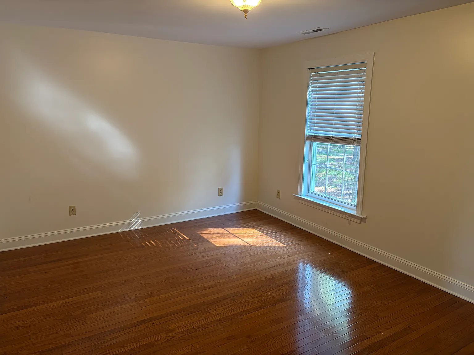 1 bed, 900 sqft, $1,250 — Photo 4