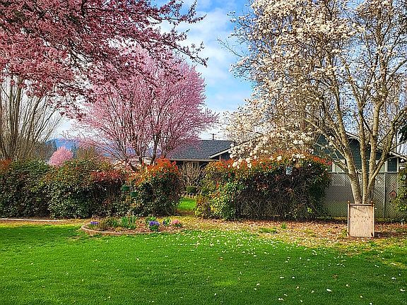 Front yard