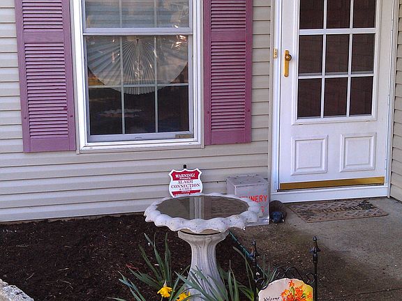 Cardinals, Humming birds n more
