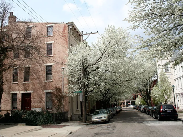 225 Orchard St — Photo 5