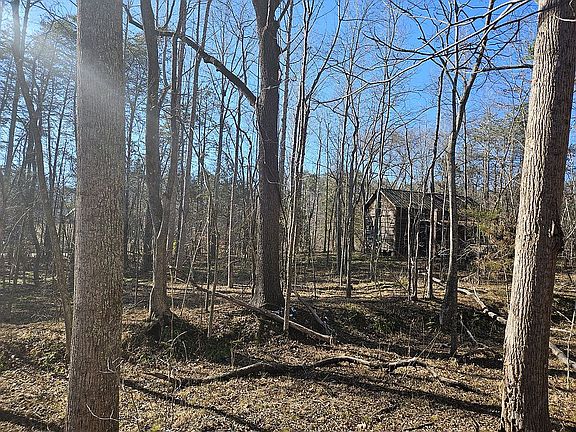 4th image of 0 N State Highway 119 Hwy Lot 0