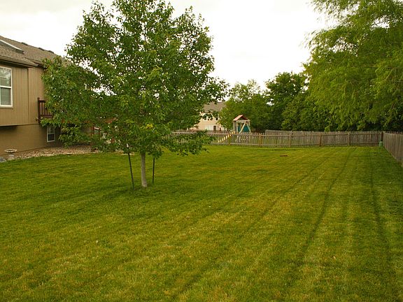 Large level backyard 
