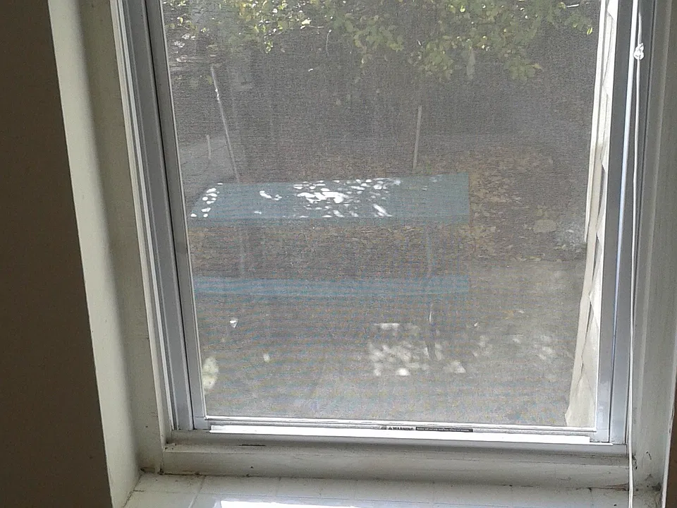 View into yard from kitchen