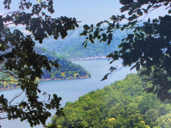 Seaton Dr, Smithville, TN 37166