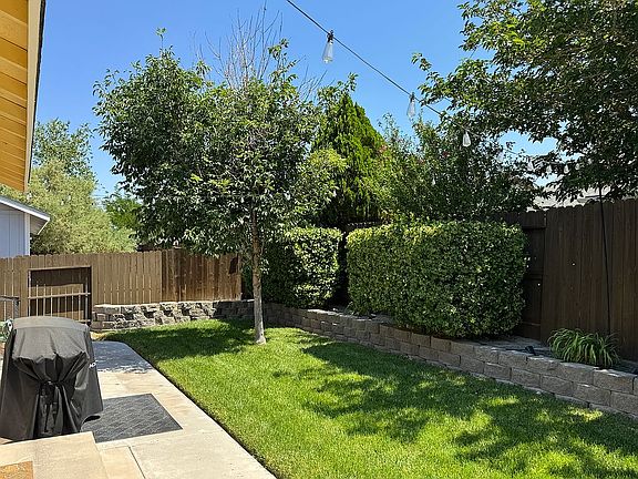 Shaded backyard
