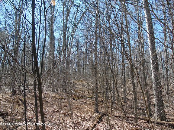 5th image of 145 Summit Woods Rd