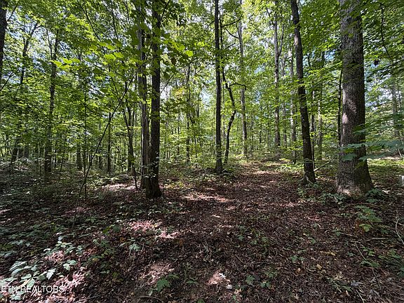 4th image of Long View Ln