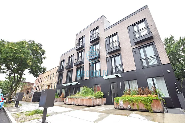 Rented by null | media 15