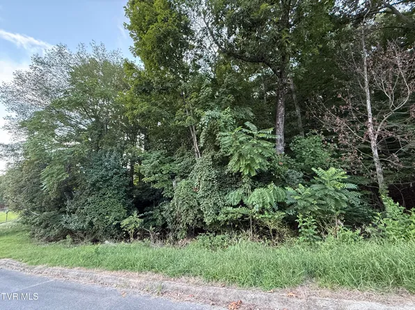 0 Maywood & Welch Dr, Kingsport, TN 37660