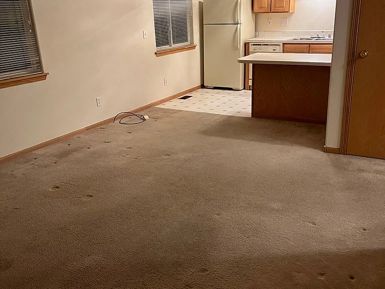 222 Spruce St — Photo 4