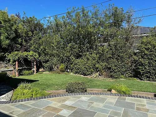 545 Clark Ct — Photo 11