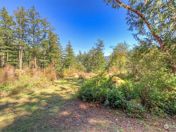 249 Osprey Lane, Orcas Island, WA 98245
