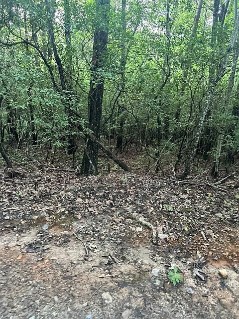 2nd image of Lots 3&4 Amicalola Woods Rd
