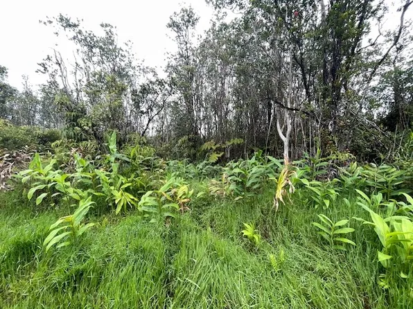 11-2872 Apuakehau Rd Lot 84, Volcano, HI 96785