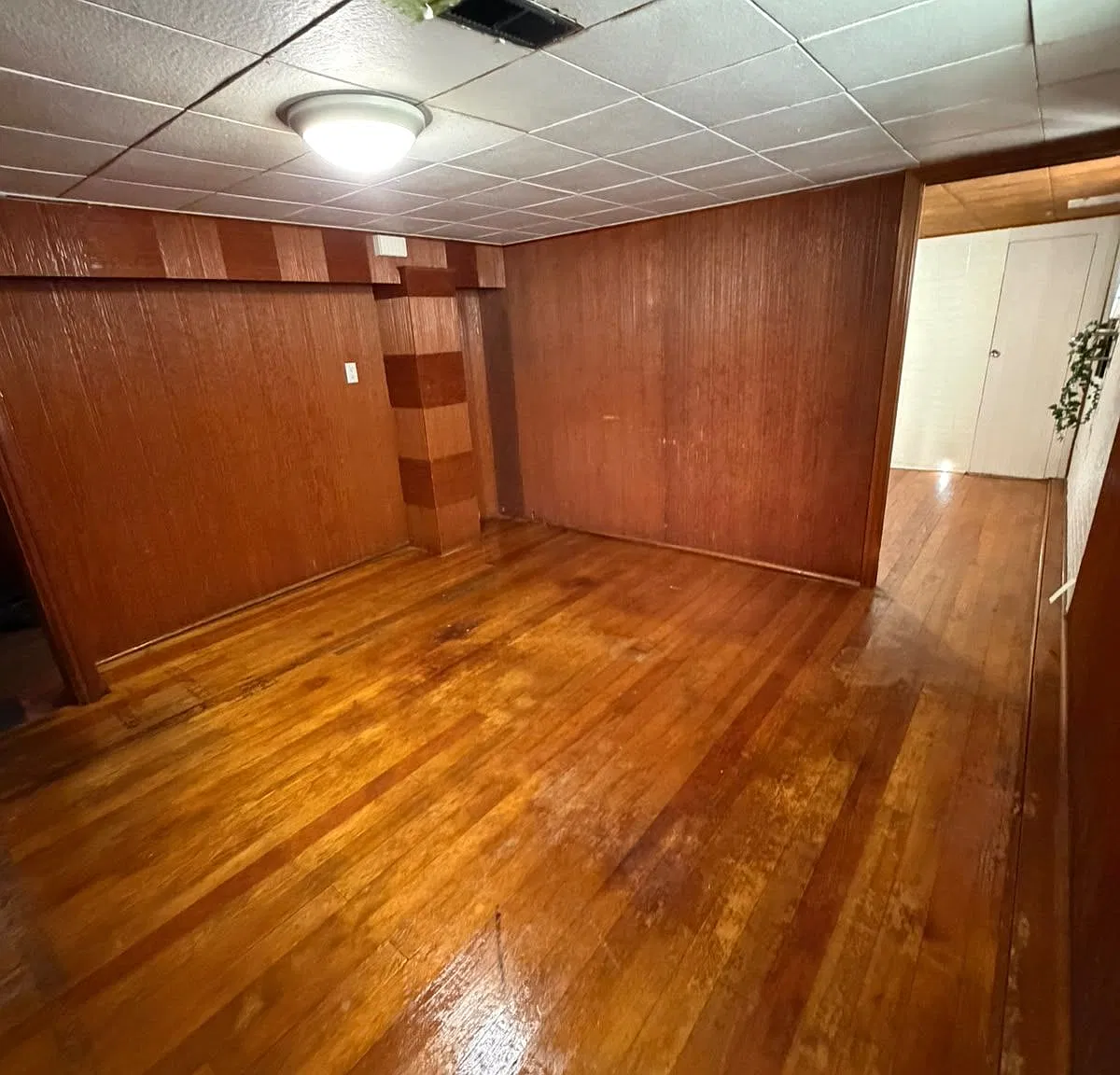 1 bed, $1,500 — Photo 2
