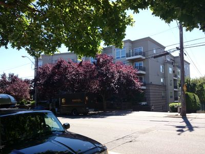 3221 SW Avalon Way APT 201, Seattle, WA, 98126