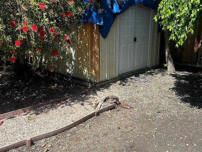 2733 Bryant St — Photo 24