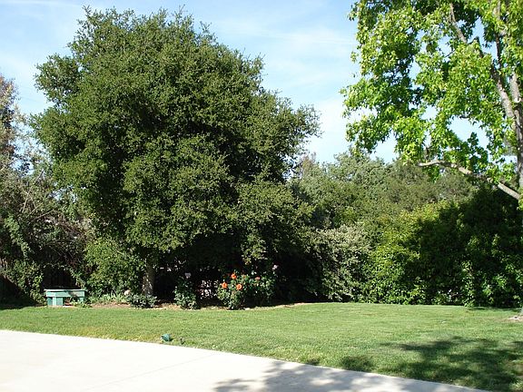 Spacious Front Yard