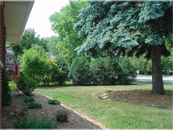 Front Yard