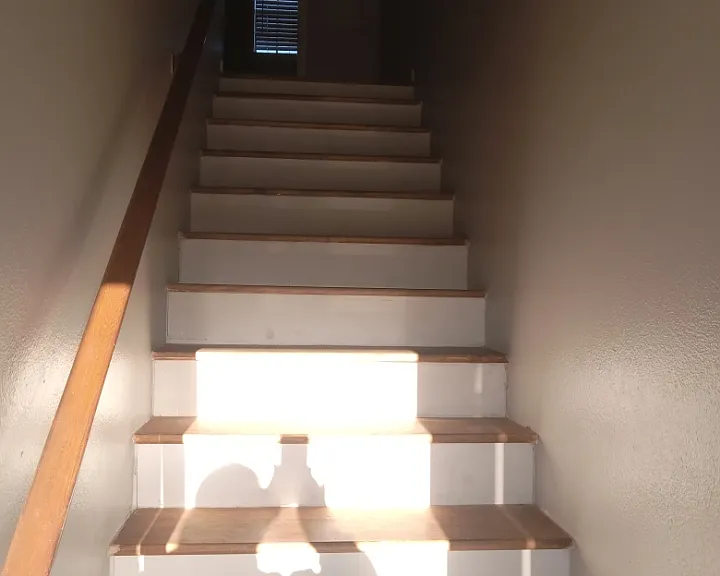 280 Medical Dr #25 — Photo 11