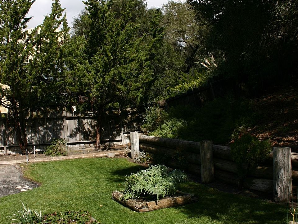 Partial Back yard