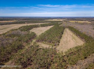 Wise Bend Rd, Thaxton, MS 38871