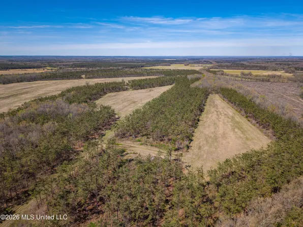 Wise Bend Rd, Thaxton, MS 38871