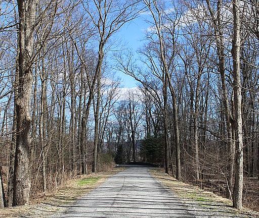 Entrance to the property.