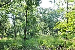 10955 Daw Collins Rd — Photo 3