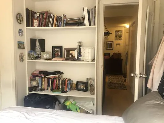 Rented by NY Living Solutions | media 15