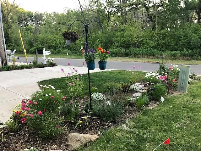 Summer front yard flowers and landscaping.