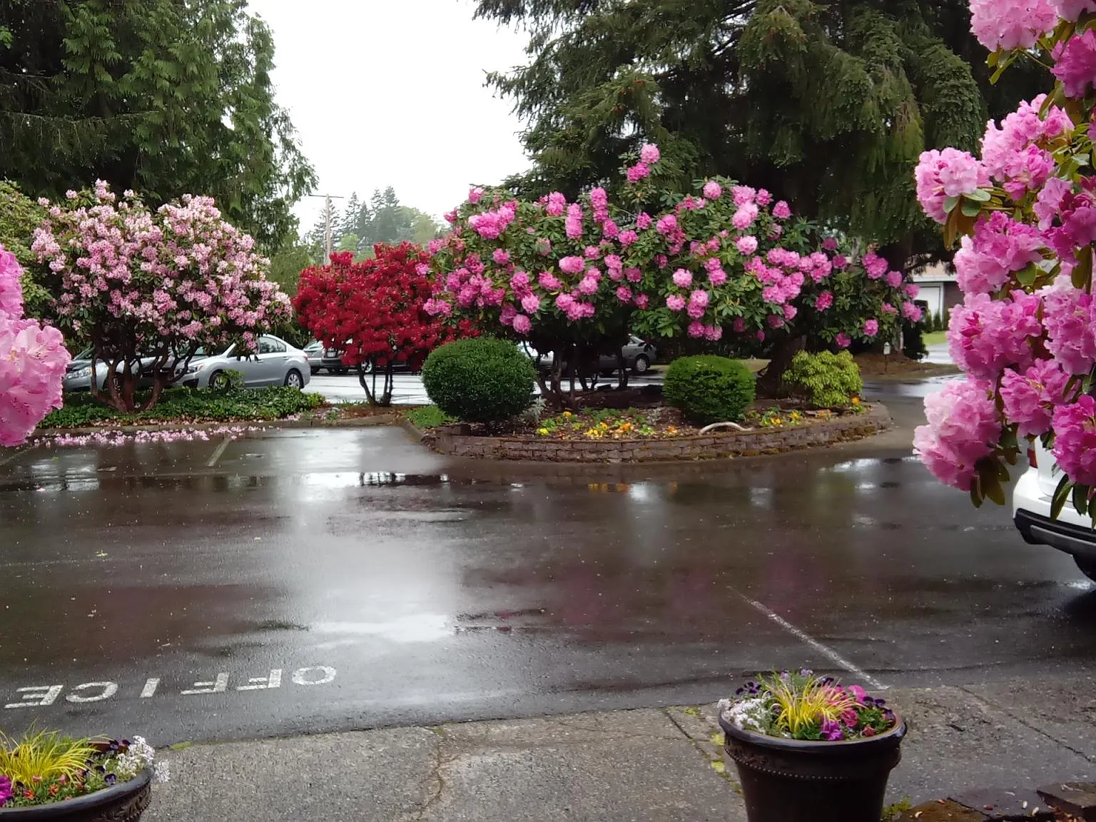 Alta Pointe — Photo 2