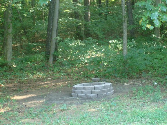 Firepit in Backyard