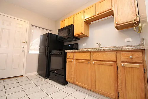 1338.5 W Argyle St #1N Photo 1