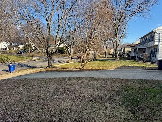 8310 Chestnut Farm Ln #2 — Photo 22
