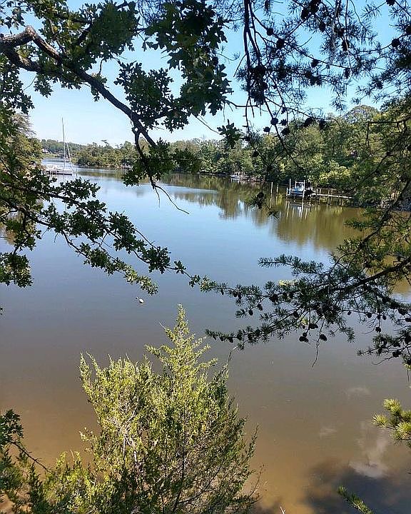1st image of Forest Dr