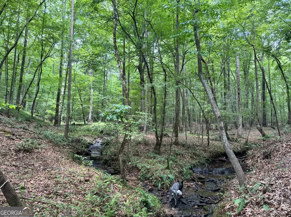 140/AC Highway 100, Franklin, GA 30217