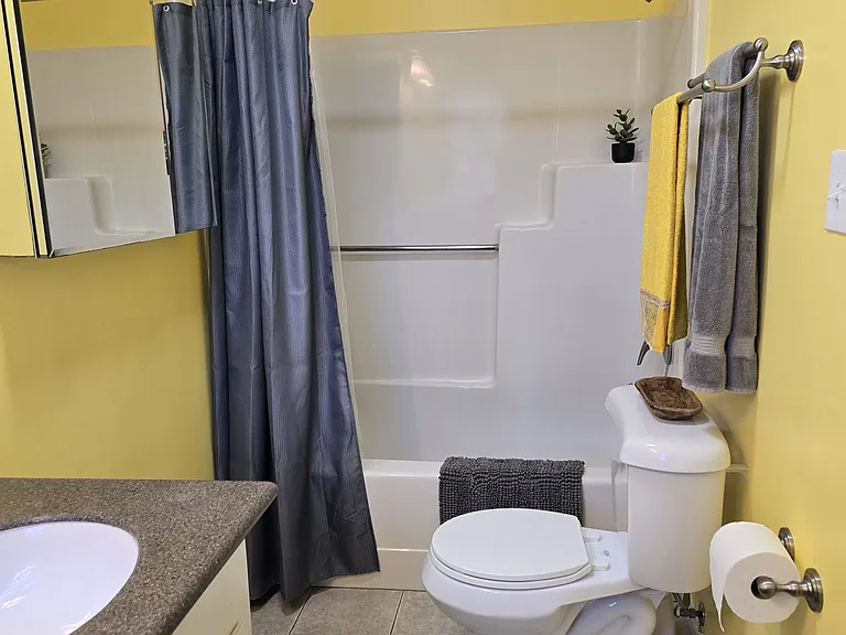 Bathroom with new paint and fixtures.