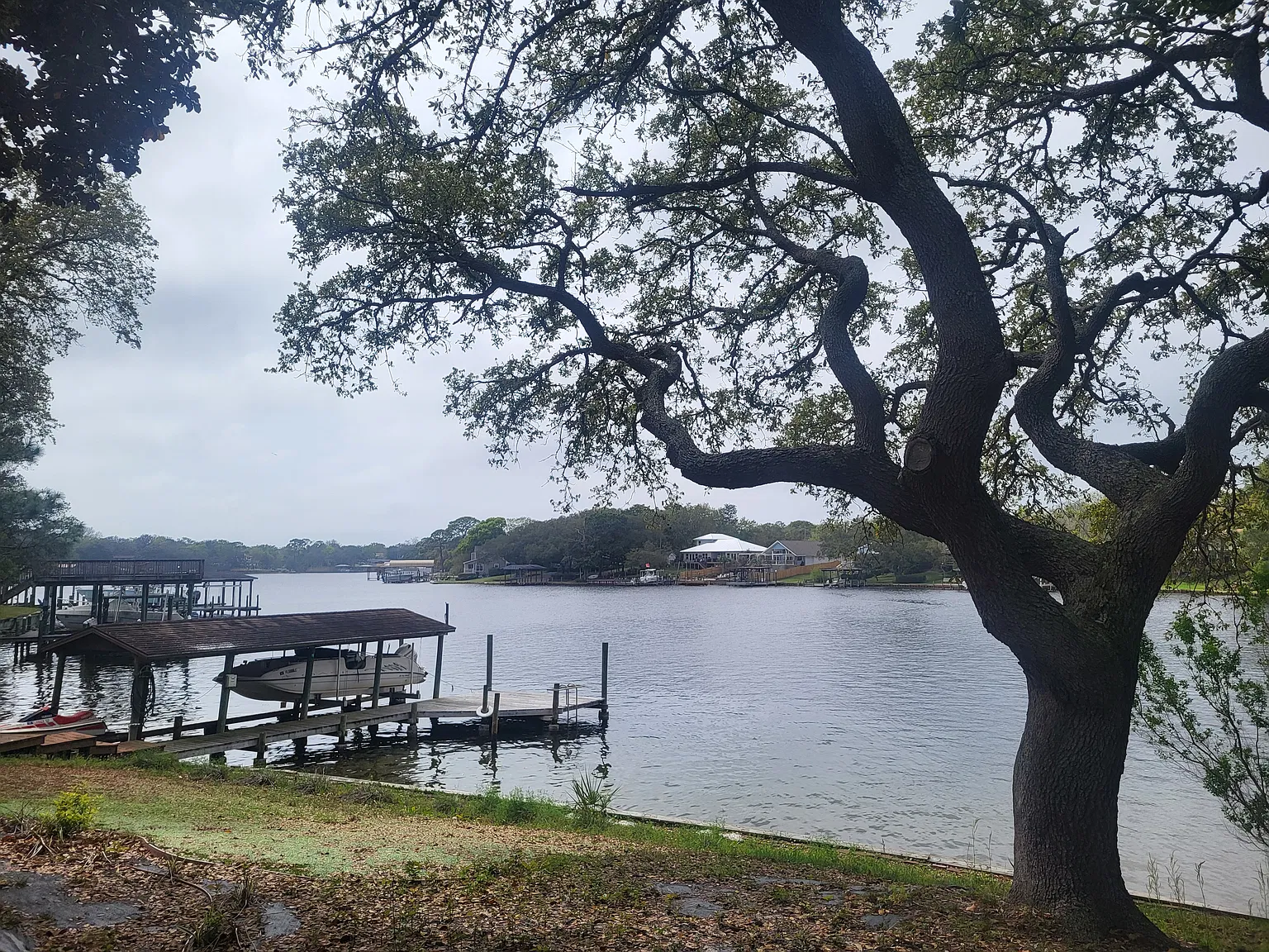 Studio, 635 sqft, $1,600 — Photo 2