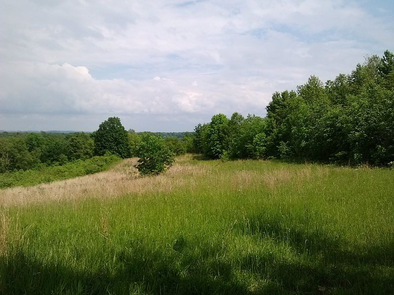 2nd image of 9780 Dozer Ridge Rd