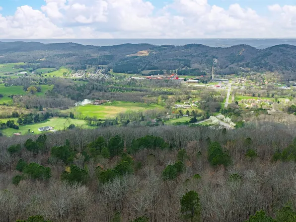 37.2 Acres Hwy #68, Collinsville, AL 35961