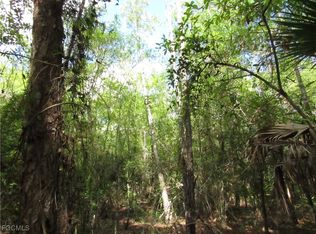 1130 Debbie Ln, Labelle, FL 33935