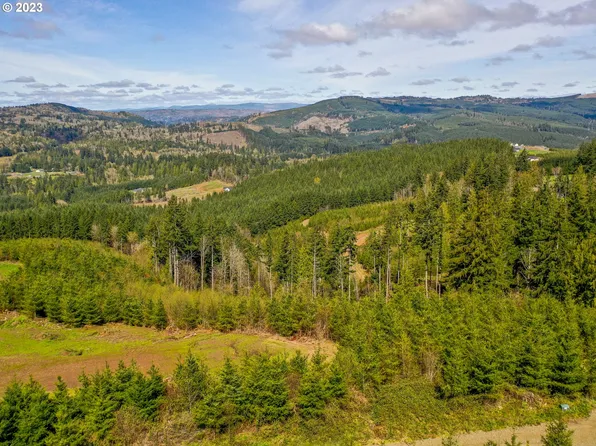 471 Bootjack Ln, Kelso, WA 98626