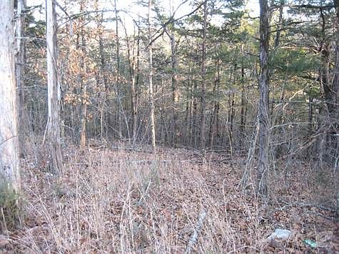 Interior View of Lot 82